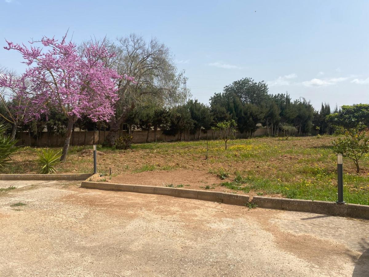 Semesterbostad Marismas Llucmajor (Mallorca)